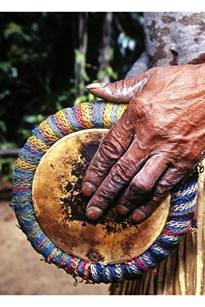 Universal Dansatoare din Papua Noua Guinee și artă a tobelor, tablou foto, po...