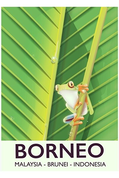 Universal Poster de călătorie cu broaște Borneo, tablou decorativ din lemn