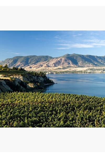 Universal Οινοποιείο της κοιλάδας Okanagan, Ξύλινη διακοσμητική αφίσα με θέμα...