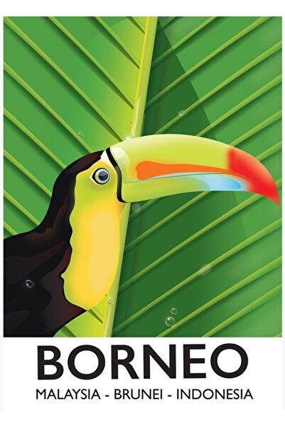 Universal Διακοσμητική ξύλινη αφίσα ταξιδιού με τουκάν του Βόρνεο