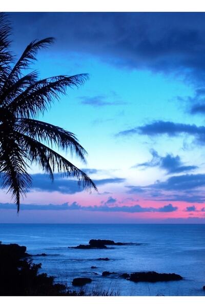 Universal Insula Tropicală Frumoasă Peisaj de apus de soare roz albastru Tabl...