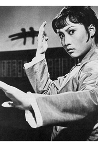 Universal Angela Mao - Γυναίκα ηθοποιός πολεμικών τεχνών, ξύλινη αφίσα διακοσ...