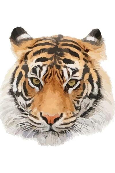 TSC Autocolant auto pentru mașină de familie Tiger 17cm H2