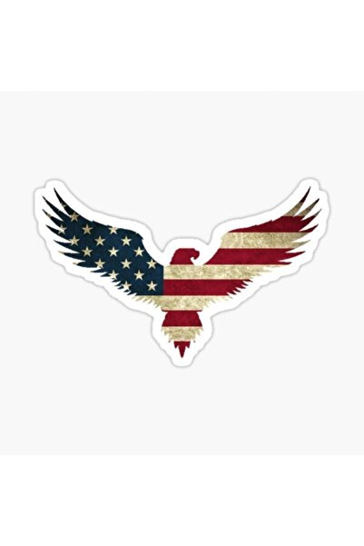 TSC Car Eagle Sticker Paste Sticker American Flag 17cm A1