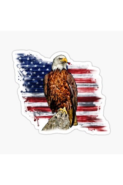 TSC Eagle Sticker Paste Sticker for Car American Flag 17cm