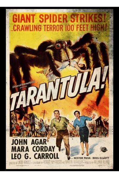 Universal Poster decorativ din lemn cu tarantula, stil vintage retro