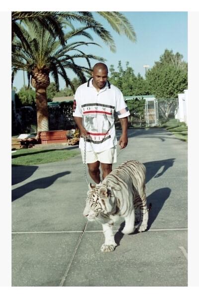 Universal Poster decorativ din lemn Kaplan Beyaz Tablo