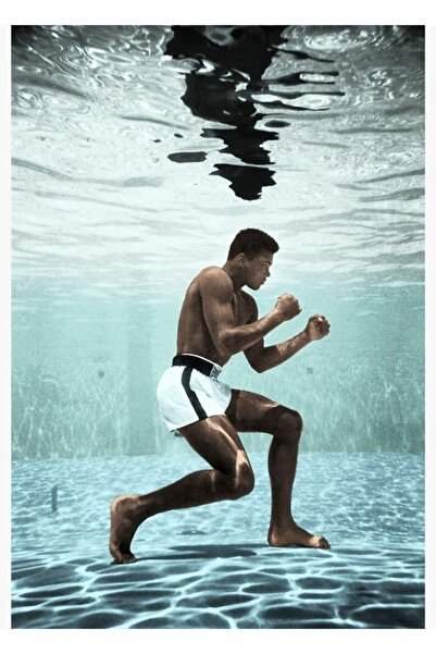 Universal Εύθραυστος Υποβρύχιος Κόσμος. Κρυστάλλινες Θαλάσσιες Χελώνες. Μαλδί...