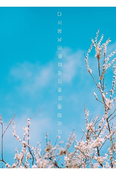 Universal Tablou Ziua Primăverii Poster din lemn decorativ Cod4763