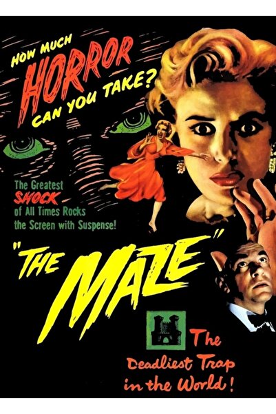 Universal Poster decorativ din lemn cu tablou labirint