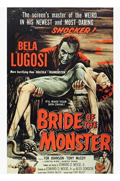 Universal Poster decorativ din lemn cu tematică B Film