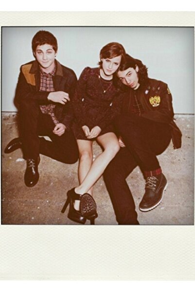 Universal Avantajele de a fi un Wallflower Polaroid Tablou Poster din lemn de...