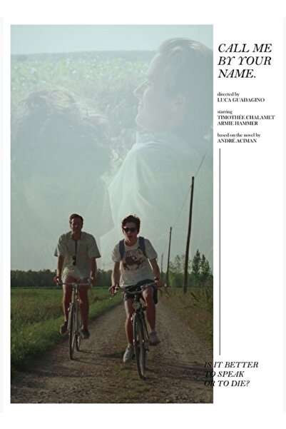 Universal Καλέστε με το όνομά σου // Τιμοτέ Σαλομέ, Άρμι Χάμερ, Διακοσμητική ...