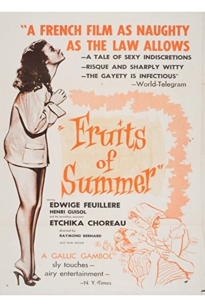 Universal Poster decorativ din lemn cu film francez vintage