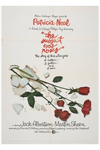 Universal Διακοσμητική Ξύλινη Αφίσα Κινηματογράφου Vintage