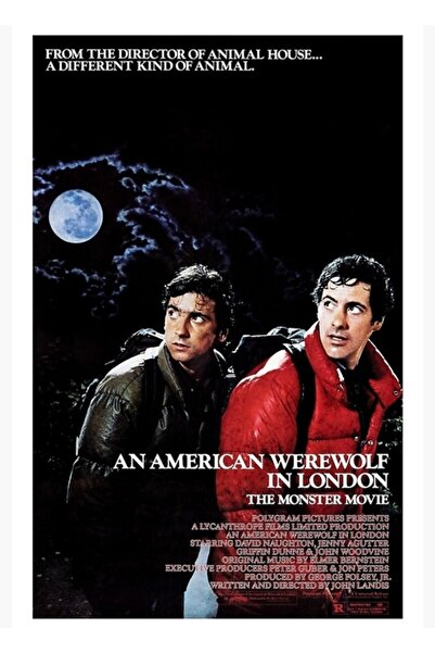 Universal Un vârcolac american la Londra (1981) Poster decorativ din lemn pictat