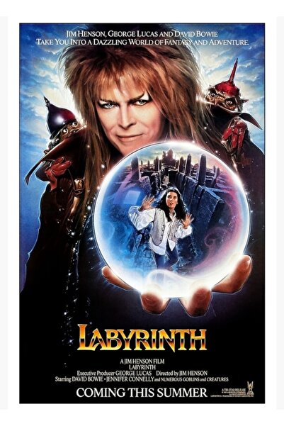 Universal Labirintul (1986) Poster decorativ din lemn