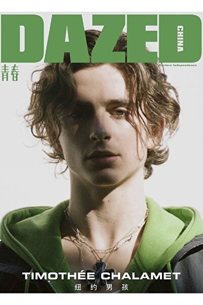 Universal Ξύλινη Αφίσα Πίνακα - Διακοσμητική με τον Timothee Chalamet