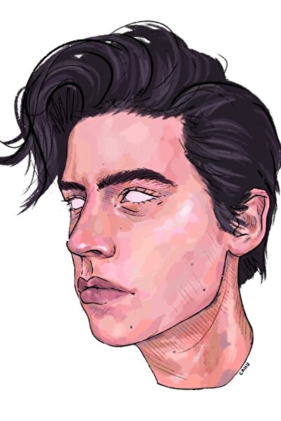 Universal Poster decorativ din lemn cu pictură Cole Sprouse