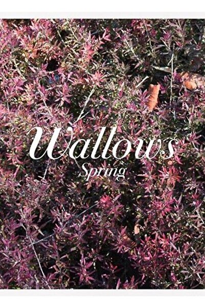 Universal Διακοσμητική Ξύλινη Αφίσα Wallows Spring Tablo