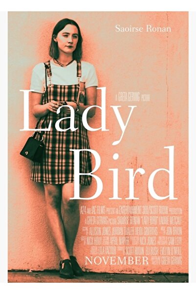 Universal Lady Bird (A24 Peach) Ξύλινη Αφίσα Τέχνης Διακοσμητική