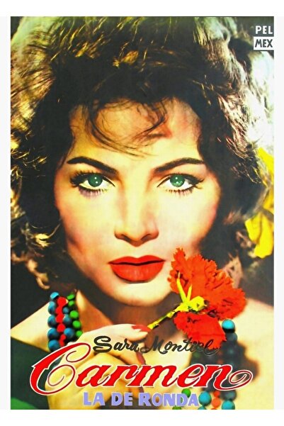 Universal Αργεντινική Αφίσα της Κάρμεν Λα ντε Ρόντα, Ξύλινη Διακοσμητική Αφίσ...