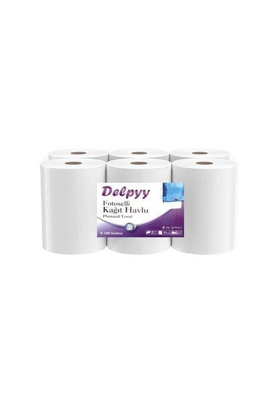 Delpyy Photocell Paper Towel 6 Rolls 2.5 Kg