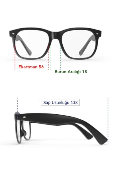 Twelve Women's Bone Sunglasses / Tf Series