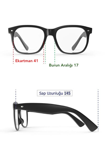 Twelve Oval Mini Design Sunglasses