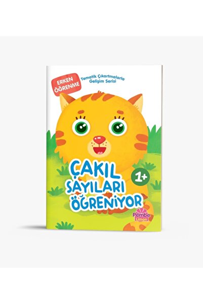 Dikkat Atölyesi Yayınları Tematik Çıkartmalarla Gelişim Serisi - Çakıl Sayıla...