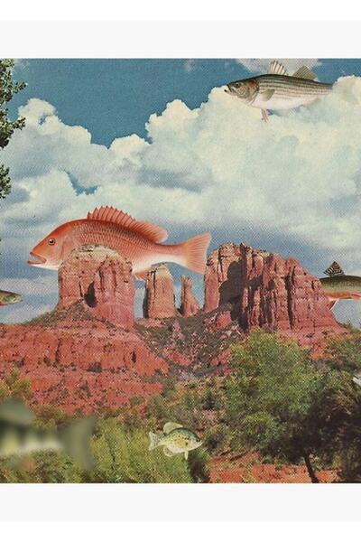 Universal Act Natural - Tablou decorativ din lemn, colaj vintage original