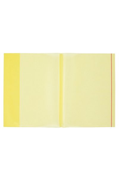 Bigpoint Container pentru notebook A4, pachet de 5, cutie galbenă transparentă de 25 de bucăți