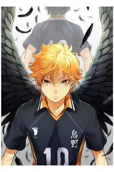 Universal Hinata &amp;   Poster decorativ din lemn Kageyama