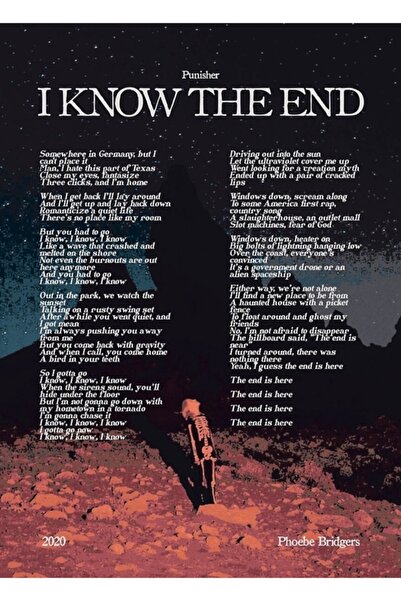 Universal Graceland Too - Phoebe Bridgers Punisher Album alternativ Poster Ta...