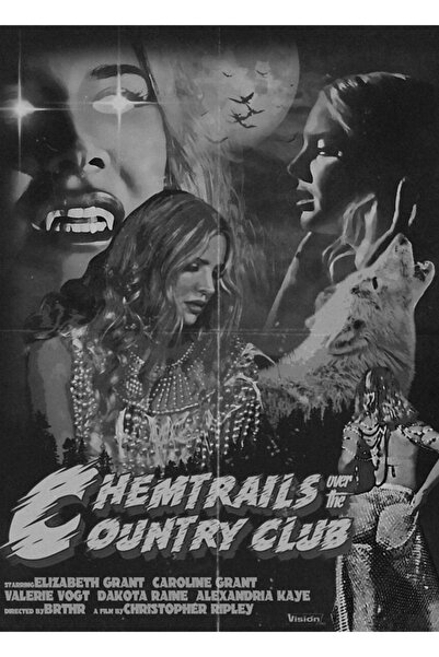 Universal Chemtrails Over The Country Club Posteri - Lana Del Rey Tablo Ahşap Poster Dekoratif