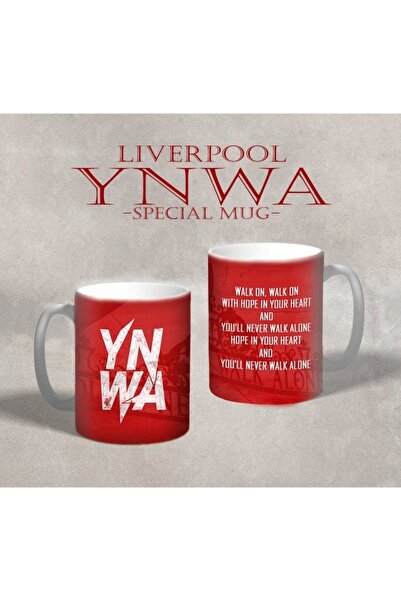 offside ليفربول ينوا - كأس الكأس للتصميم الخاص لكرة القدم