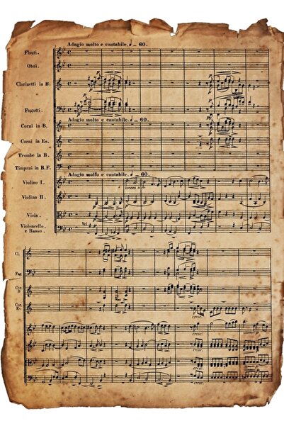 Universal Pictură antică pe hârtie a lui Beethoven, poster din lemn, decorati...