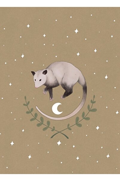 Universal Διακοσμητική ξύλινη αφίσα με σχέδιο Πόσουμ στα αστέρια