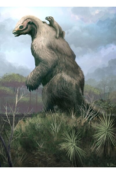 Universal Μεγαθηρίουμ Ξύλινη Αφίσα Ζωγραφικής Διακοσμητική