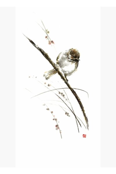 Universal Μικρό πουλί σε κλαδί Ακουαρέλα Πρωτότυπη ζωγραφική με μελάνι Επίσημ...