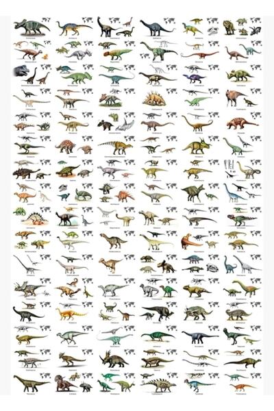 Universal Isimleri Ve Yerleri Olan Otçul Dinozorlar Tablo Ahşap Poster Dekoratif