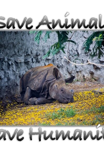 Universal Σώστε τα ζώα Σώστε την ανθρωπότητα Πίνακας Ξύλινη αφίσα Διακοσμητική