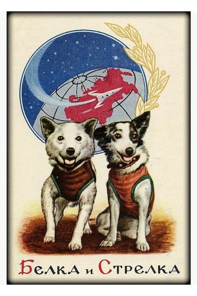 Universal Belka Ve Strelka Uzay Köpekleri Tablo Ahşap Poster Dekoratif