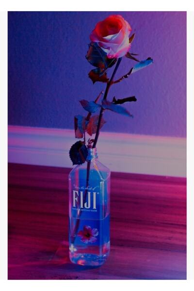 Universal Vaporwave Ξύλινη Αφίσα Τριαντάφυλλο Διακοσμητική