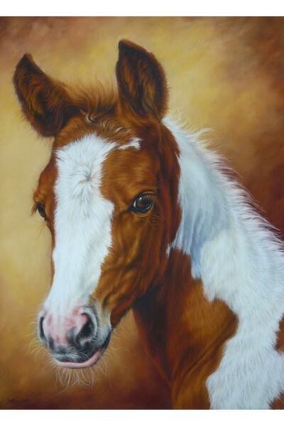 Universal Декоративна портретна картина, Дървен плакат, Декоративен