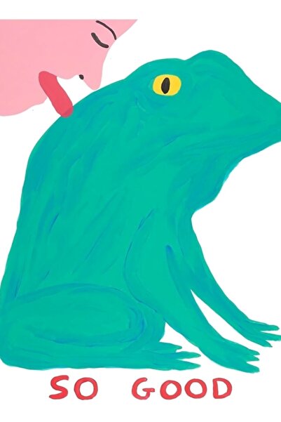 Universal Poster decorativ din lemn cu pictură „Frog Davids Very Good”