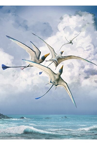 Universal Rhamphorhynchus Ξύλινη Διακοσμητική Αφίσα Ζωγραφικής