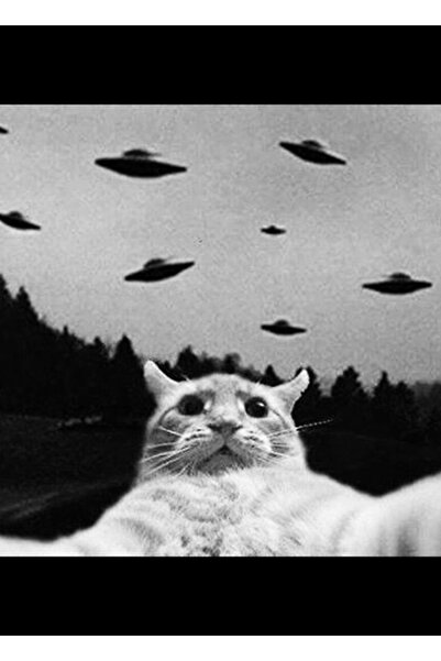 Universal Uzaylı Ufo Komik Kedi Selfie Tablo Ahşap Poster Dekoratif