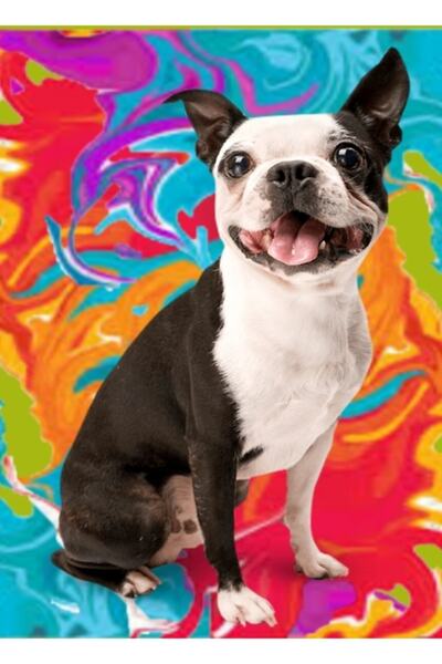 Universal Χαριτωμένος πίνακας ζωγραφικής με σκύλους, ξύλινη διακοσμητική αφίσα