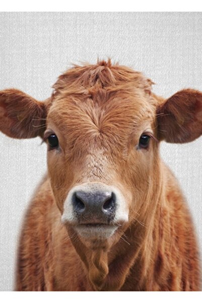 Universal Αγελάδα - Πολύχρωμη Ξύλινη Αφίσα Διακοσμητική